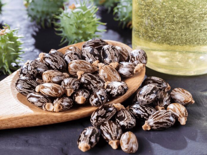 A new Advanced Bio-Circular