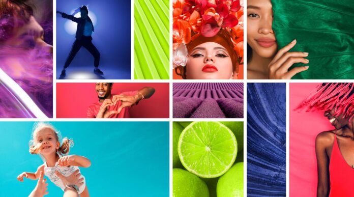 ColorDirection 2023 Bold Unity