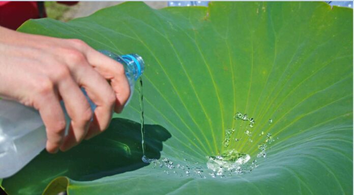 bioplastics repel liquid and dirt