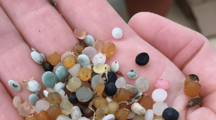 SCIENTISTS DISCOVER MICROPLASTICS