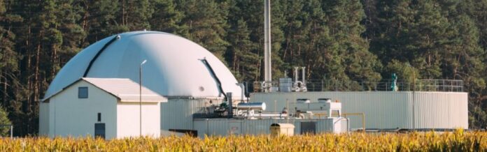 CO2BioClean: Turning CO₂ into Biodegradable Plastics.