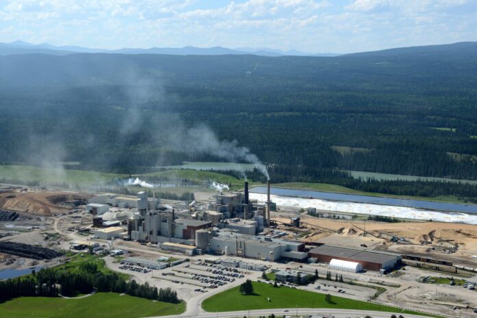 Hinton Pulp Mill Acquisition Supports Growth in Mondi’s Americas Paper Bags Business.